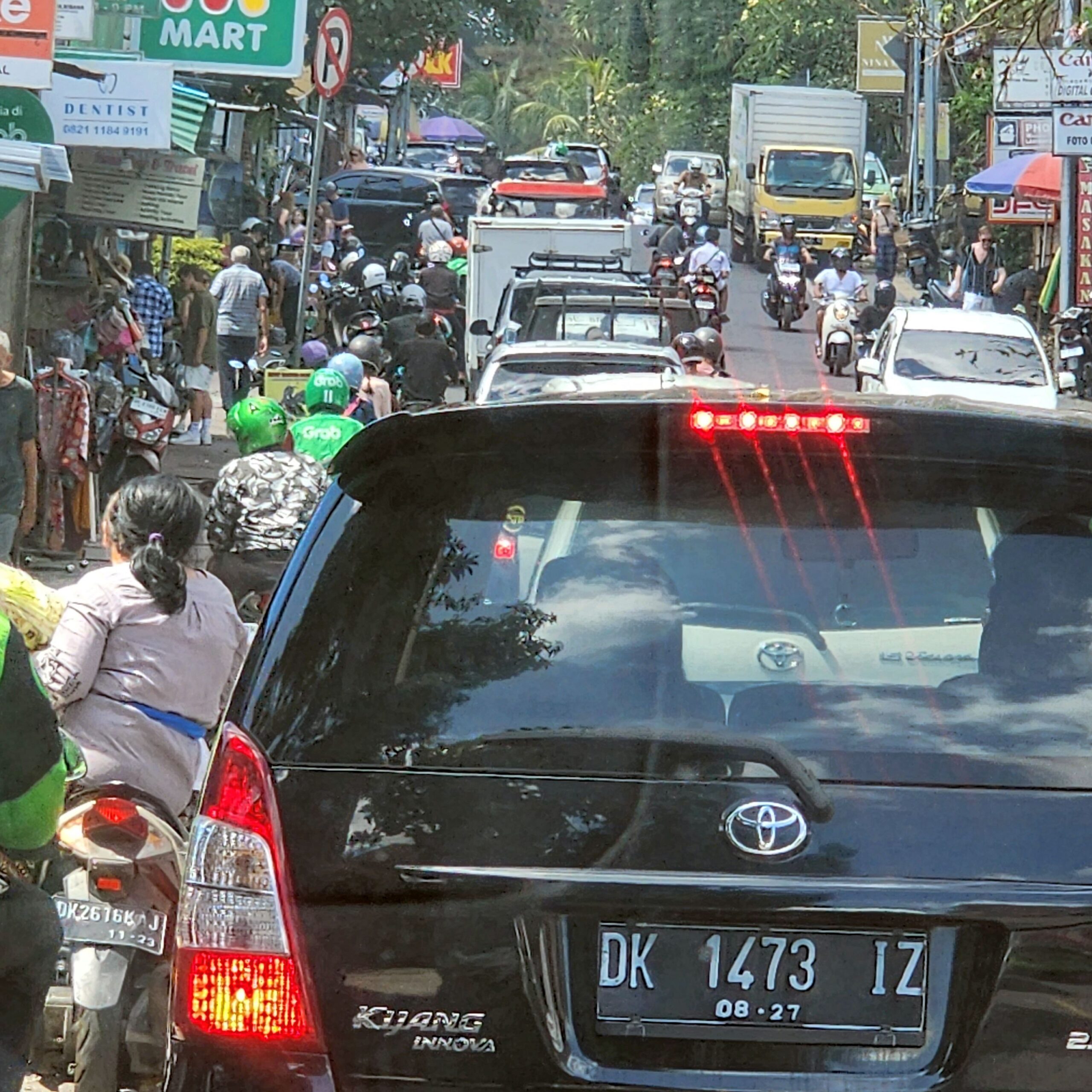 ŠUMA TURISTA   Bali Indonezija