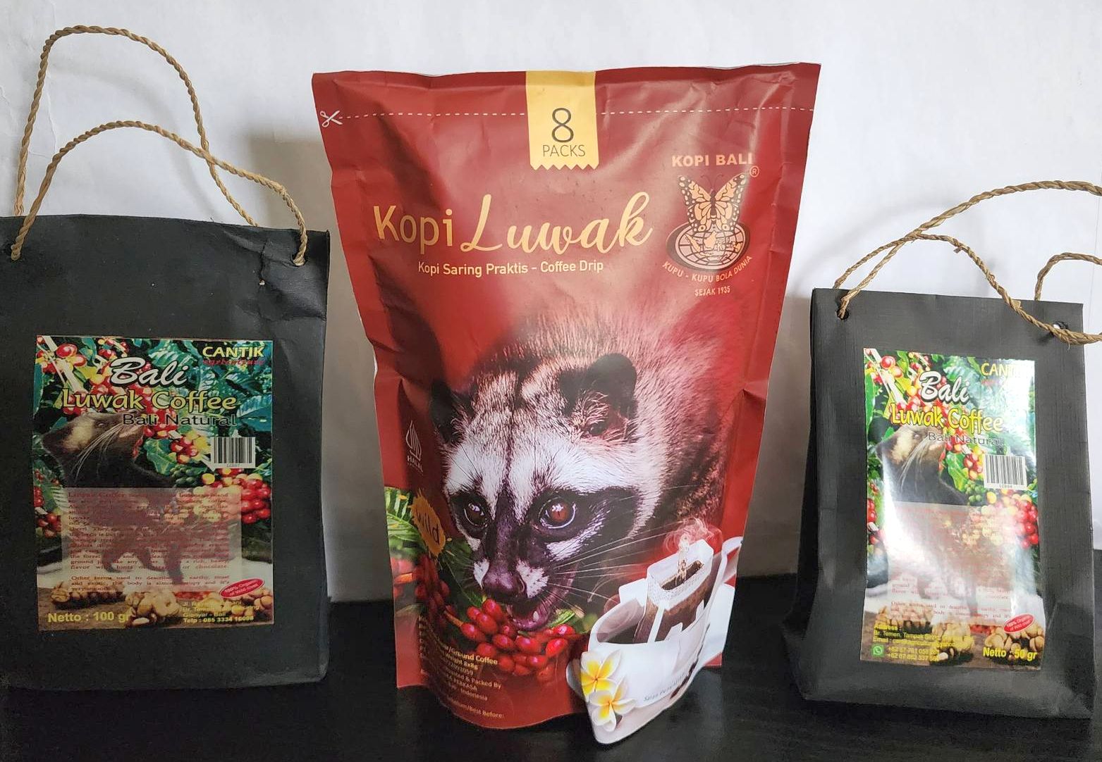 kopi luwak